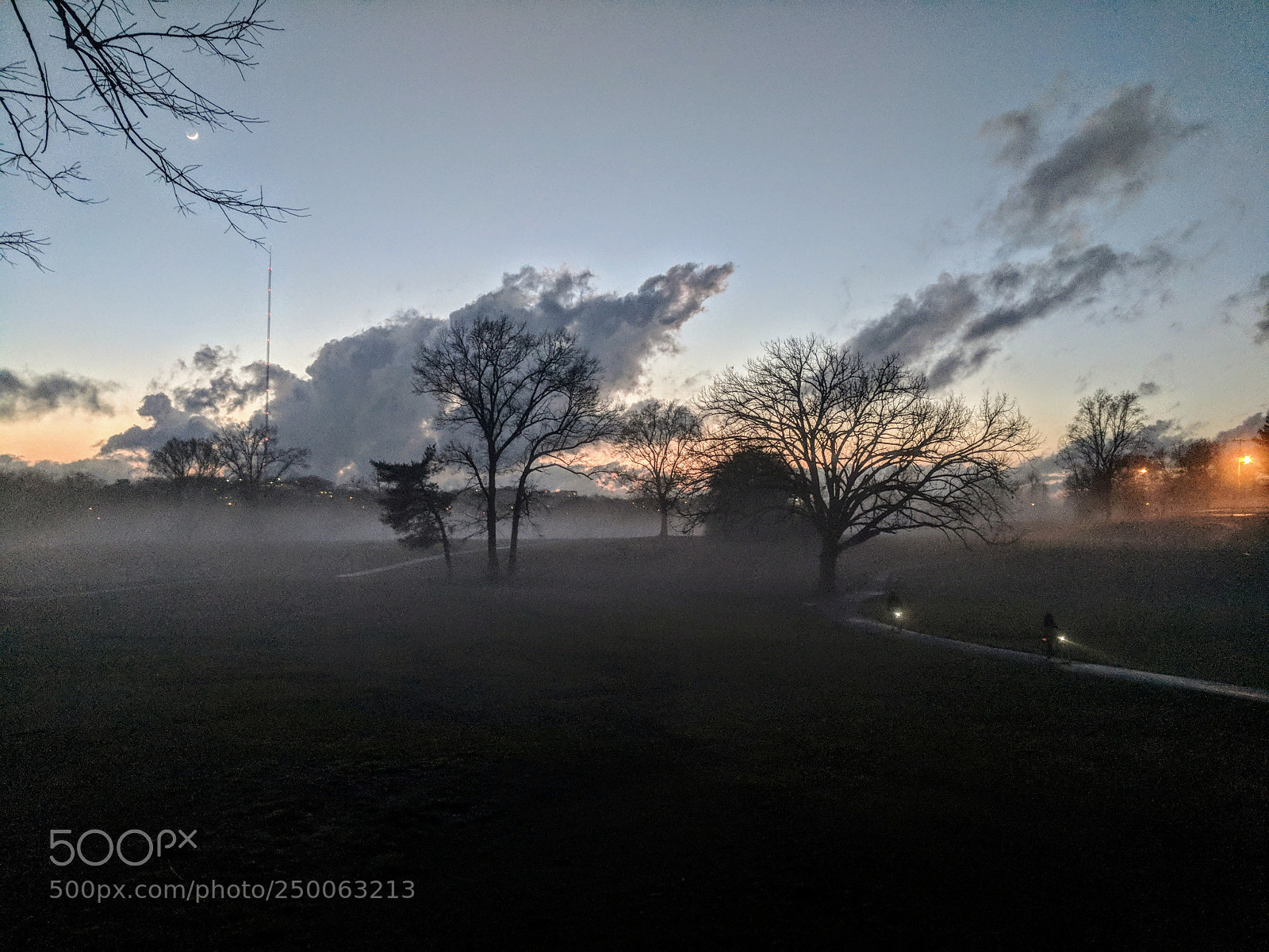 Google Pixel sample photo. Untitled photography