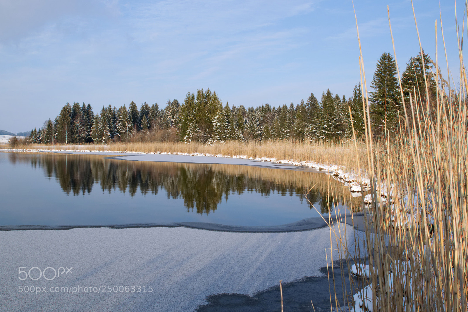 Nikon D5300 sample photo. Hopfensee photography