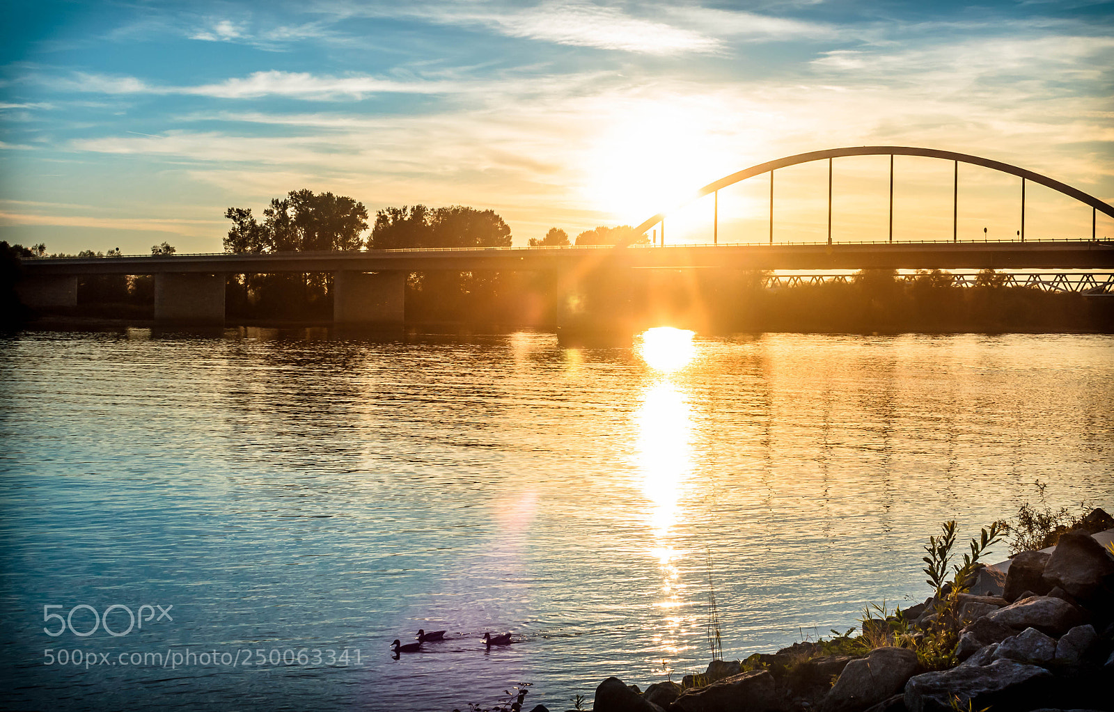 Canon EOS 600D (Rebel EOS T3i / EOS Kiss X5) sample photo. Golden danube photography