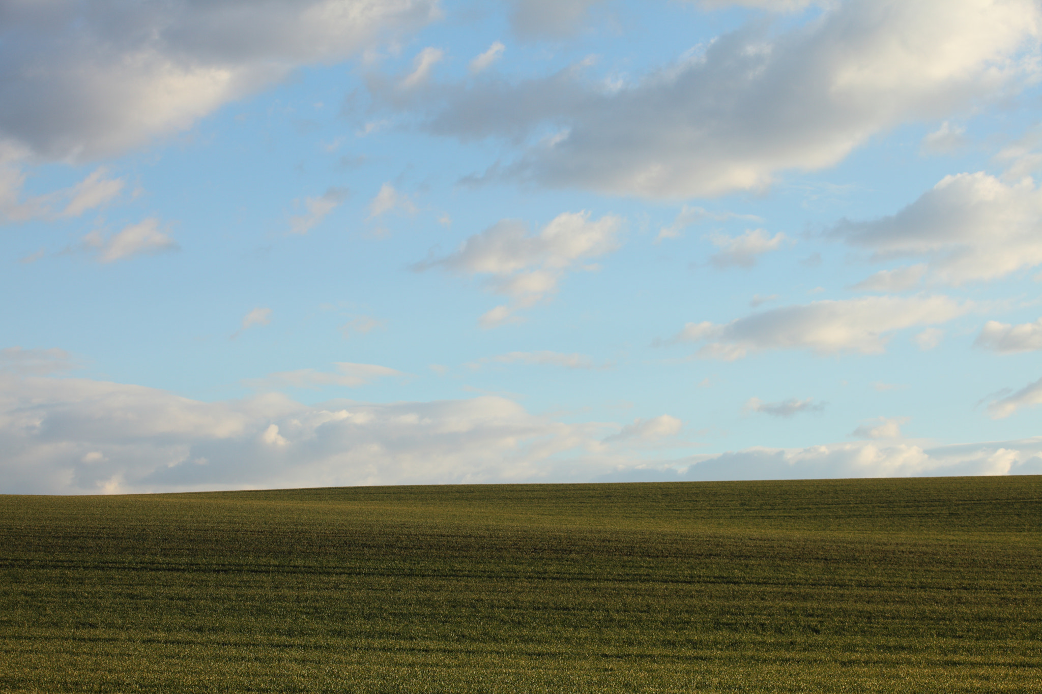 Canon EF 70-200mm F4L USM sample photo. Green field photography
