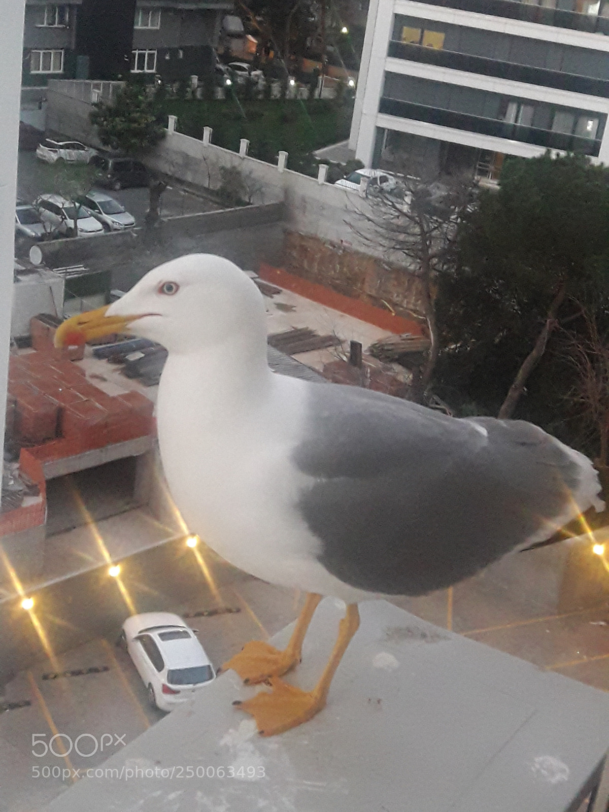 Samsung Galaxy J7 Neo sample photo. Untitled photography