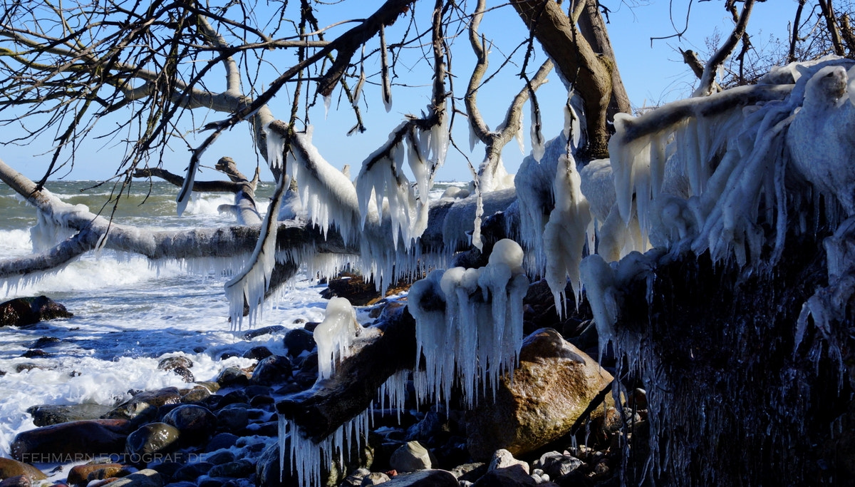 Sony SLT-A77 + Sony DT 16-50mm F2.8 SSM sample photo. Winter... photography