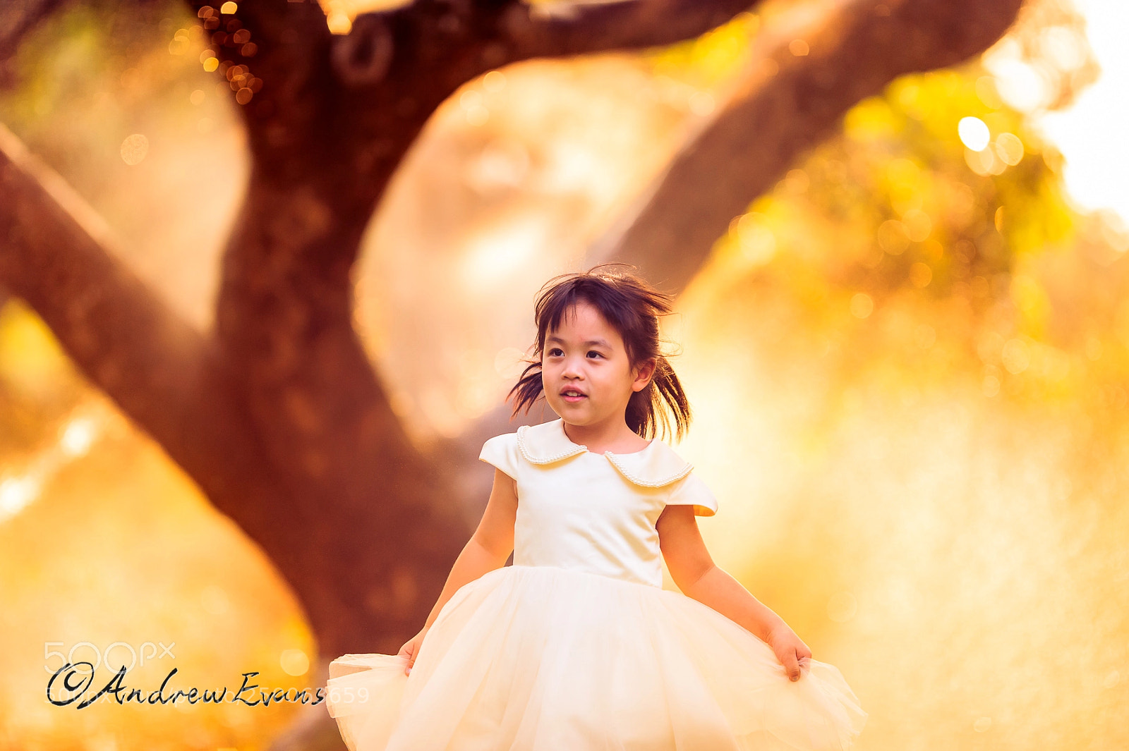 Nikon D3 sample photo. Elsa photography
