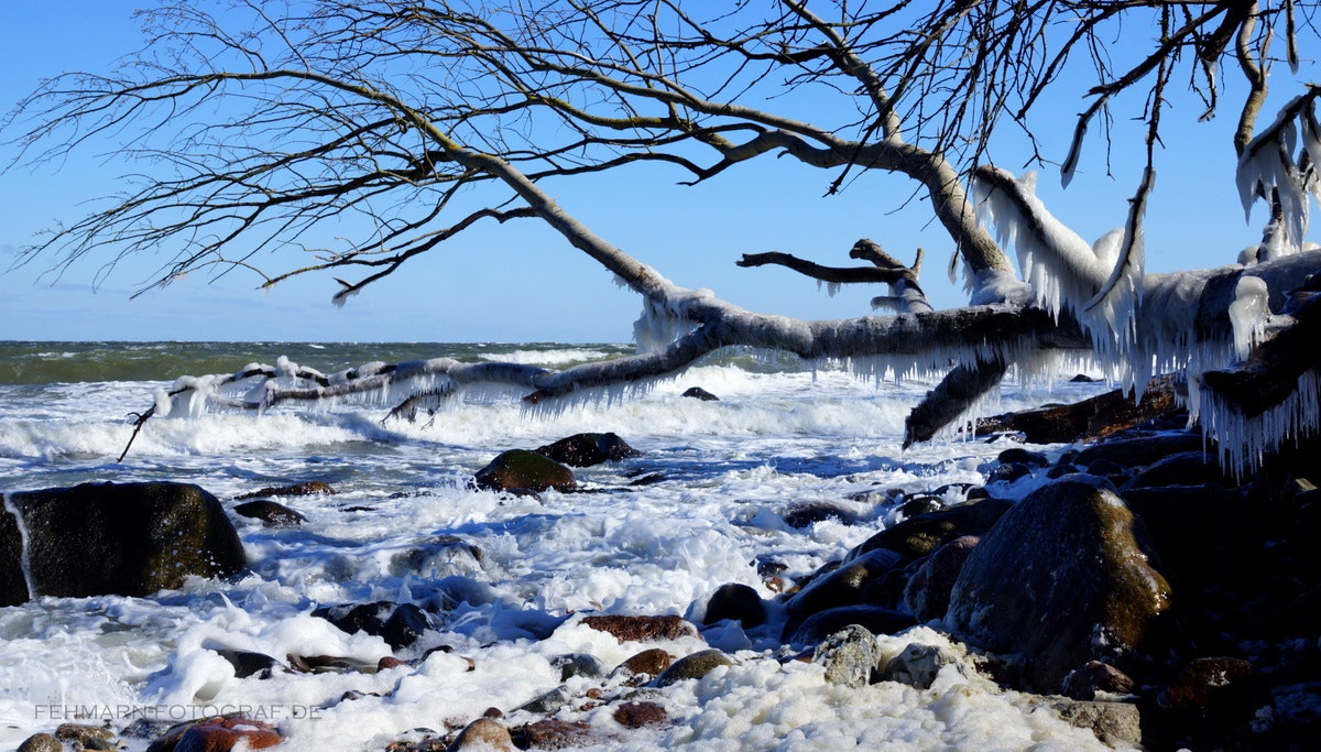 Sony SLT-A77 + Sony DT 16-50mm F2.8 SSM sample photo. Winter... ii photography