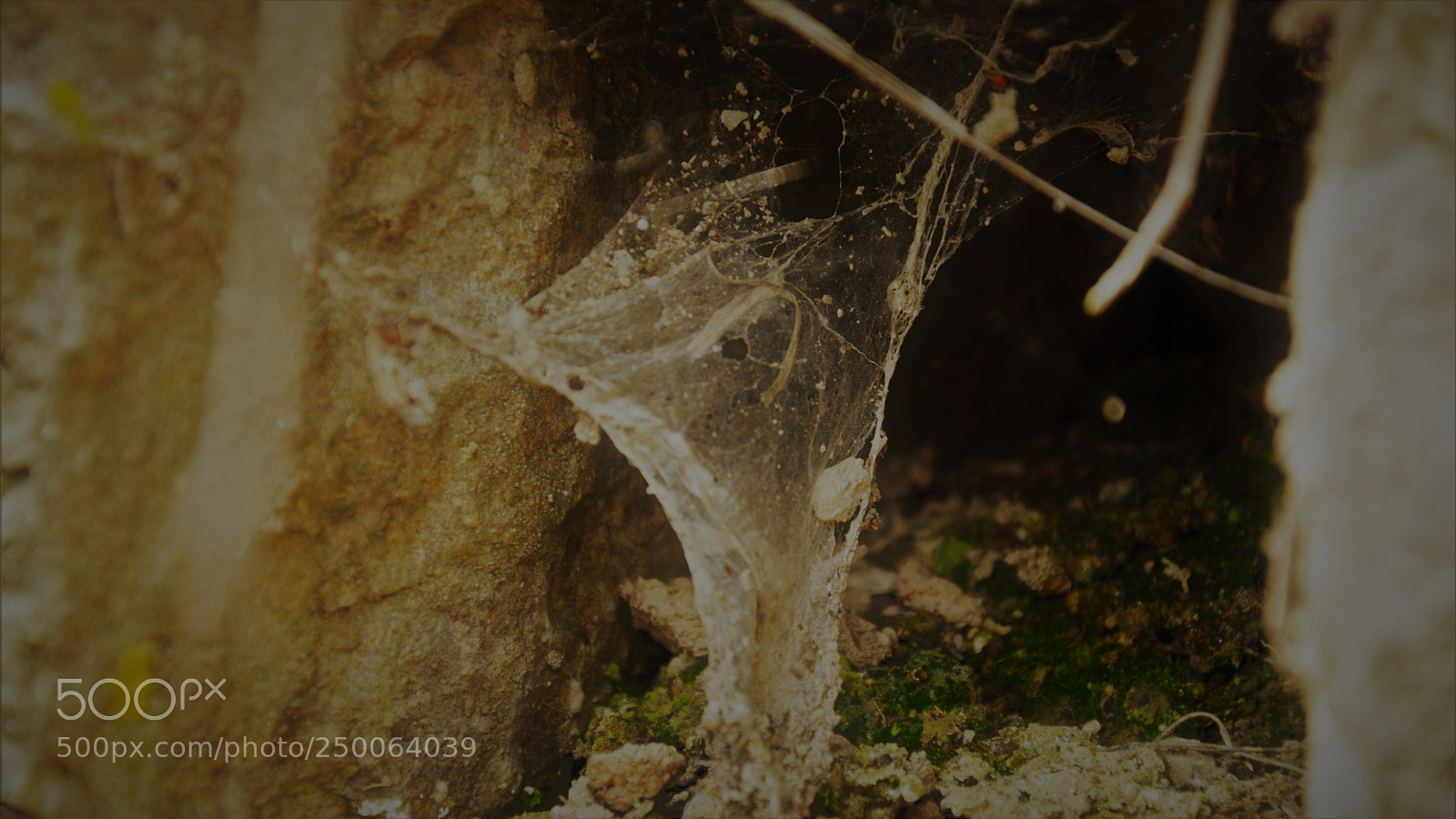 Nikon D3200 sample photo. Untitled photography