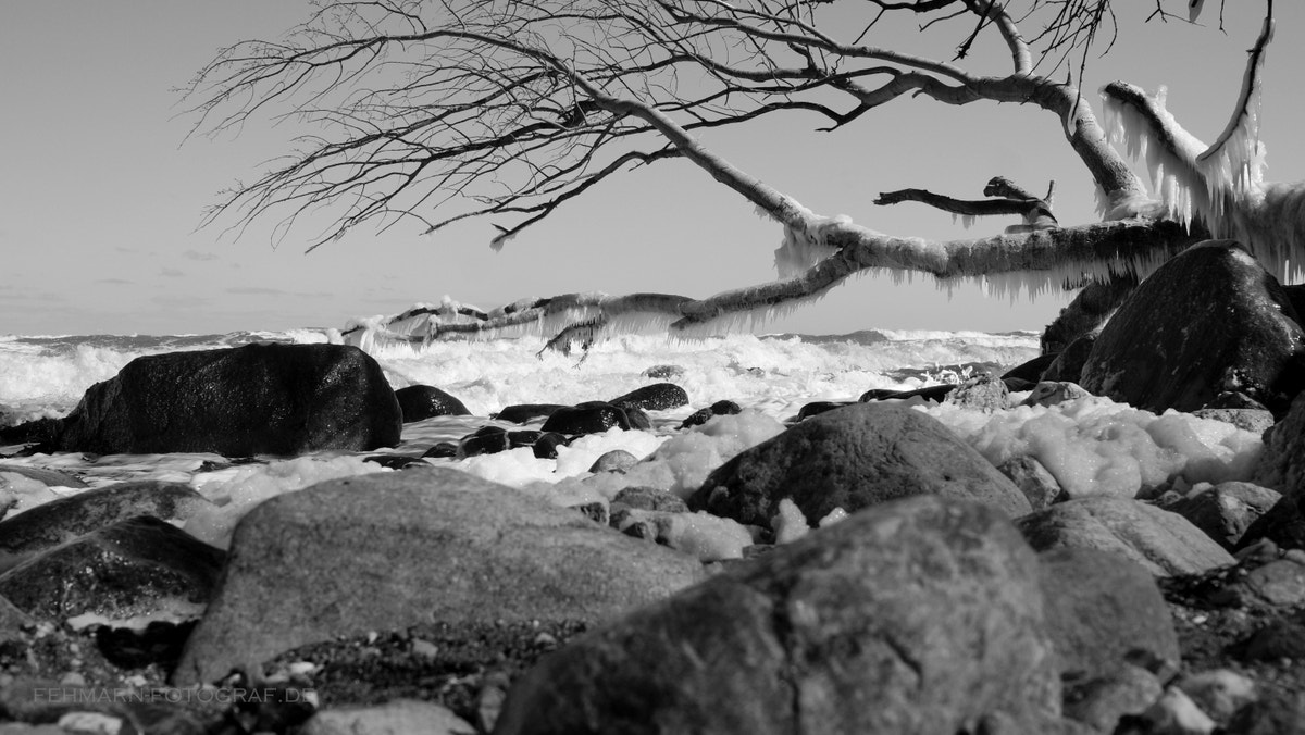 Sony SLT-A77 + Sony DT 16-50mm F2.8 SSM sample photo. Winter... iii photography