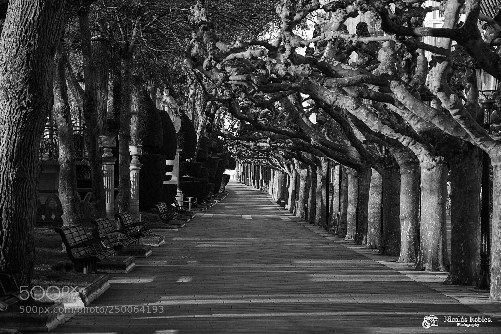 Nikon D7100 sample photo. Paseo del espolon photography