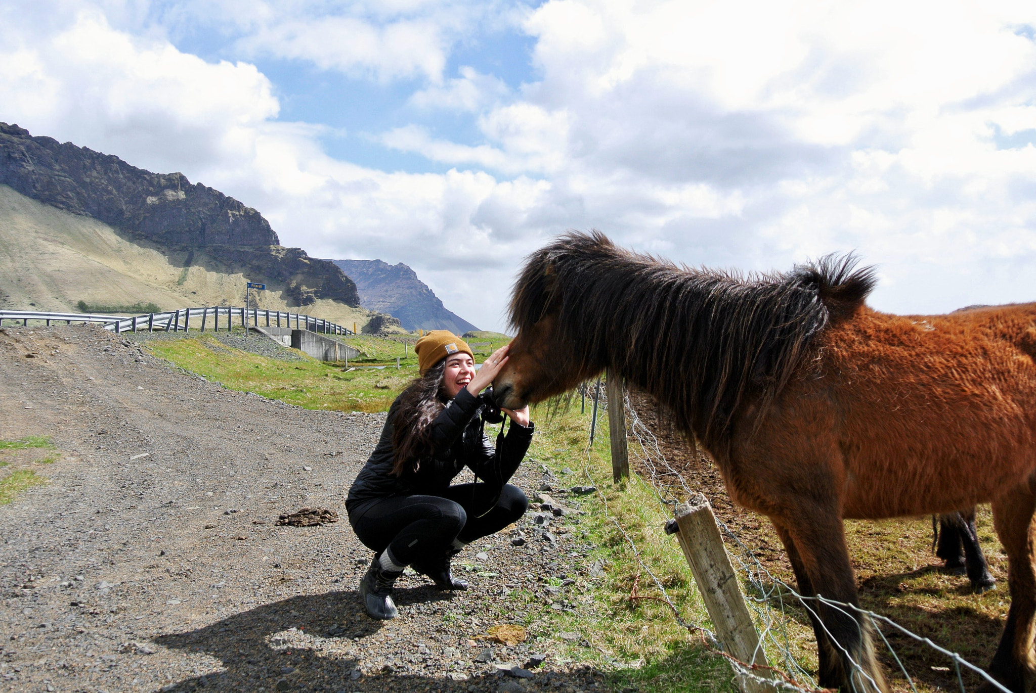 Nikon 1 J1 sample photo. Aw iceland horse photography