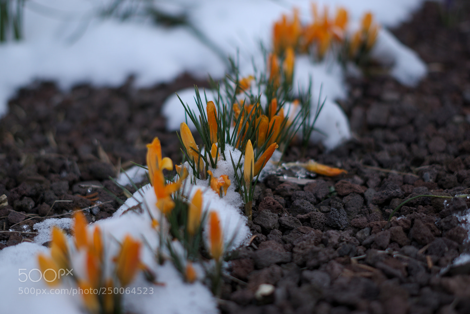 Sony a6000 sample photo. 004 photography
