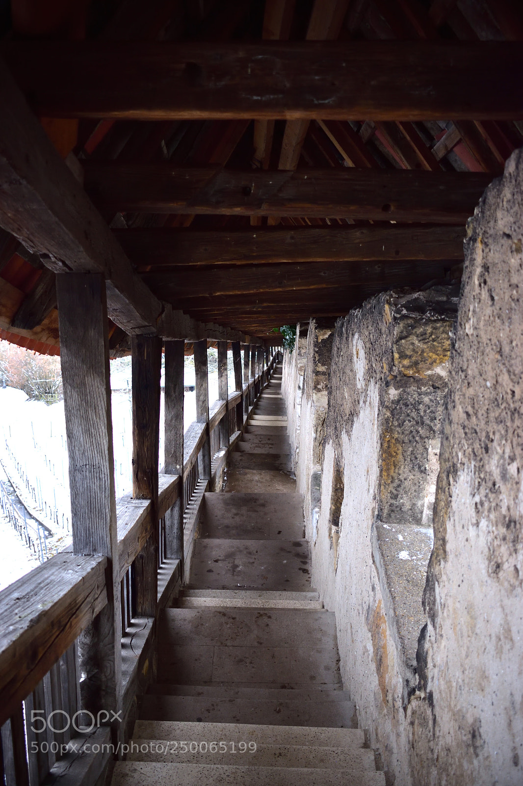Nikon D5600 sample photo. Stairs photography