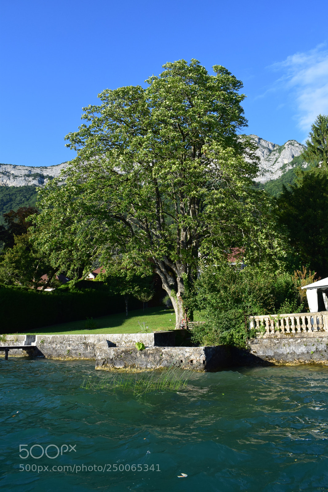 Nikon D3300 sample photo. Arbre au bord de photography