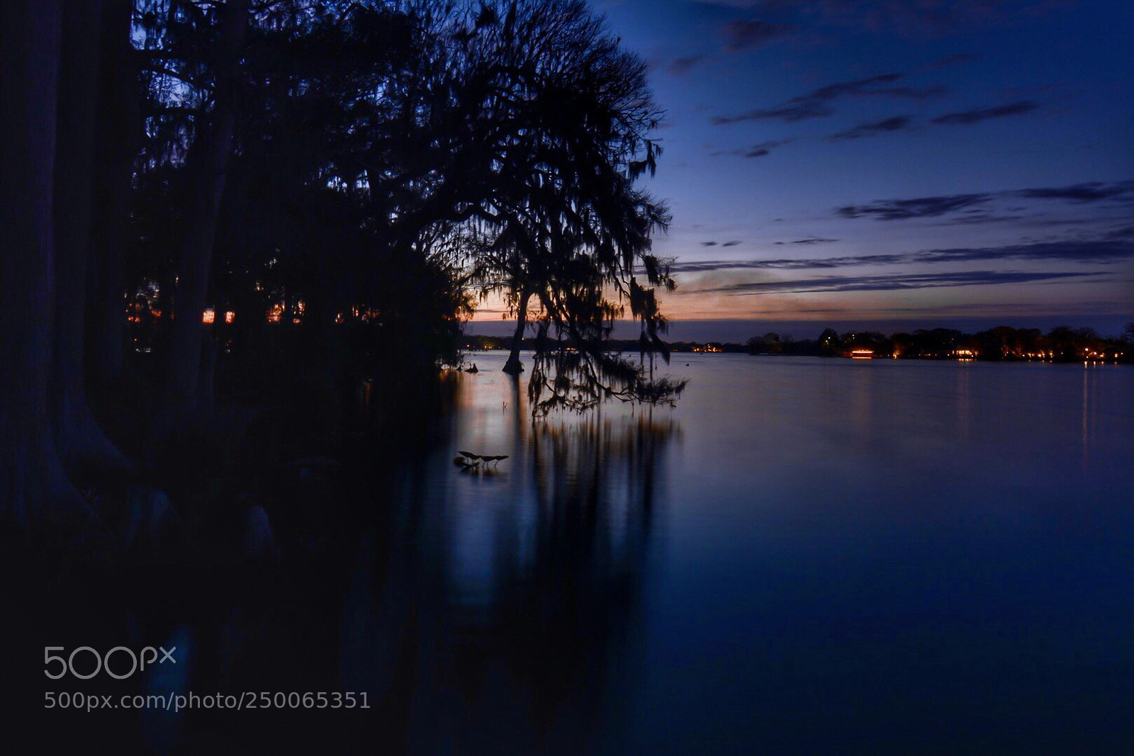 Nikon D7100 sample photo. Lake maitland photography