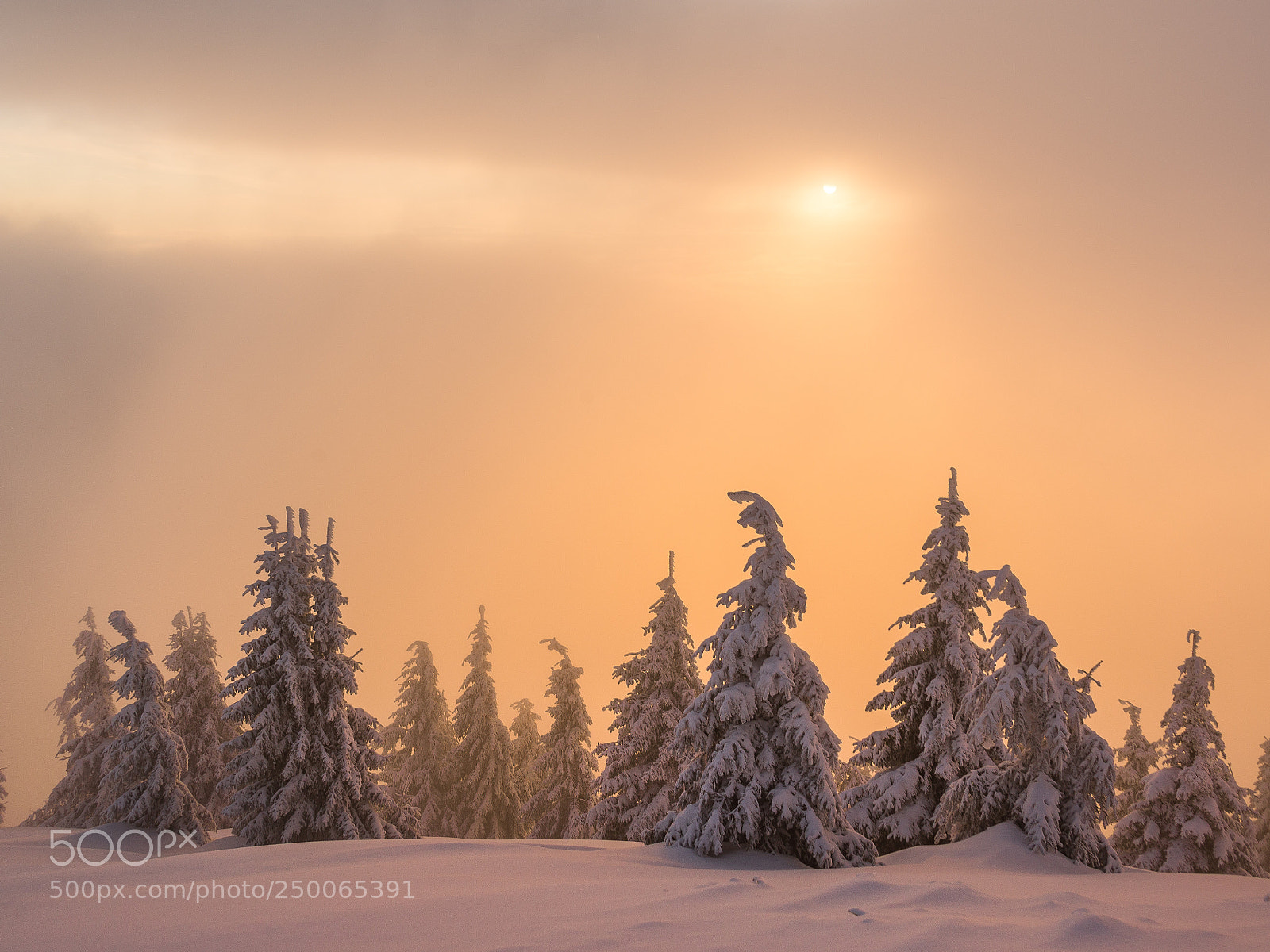 Nikon D610 sample photo. Early winter morning photography