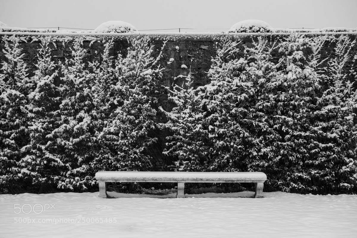 Sony Cyber-shot DSC-RX100 sample photo. Royal bench photography