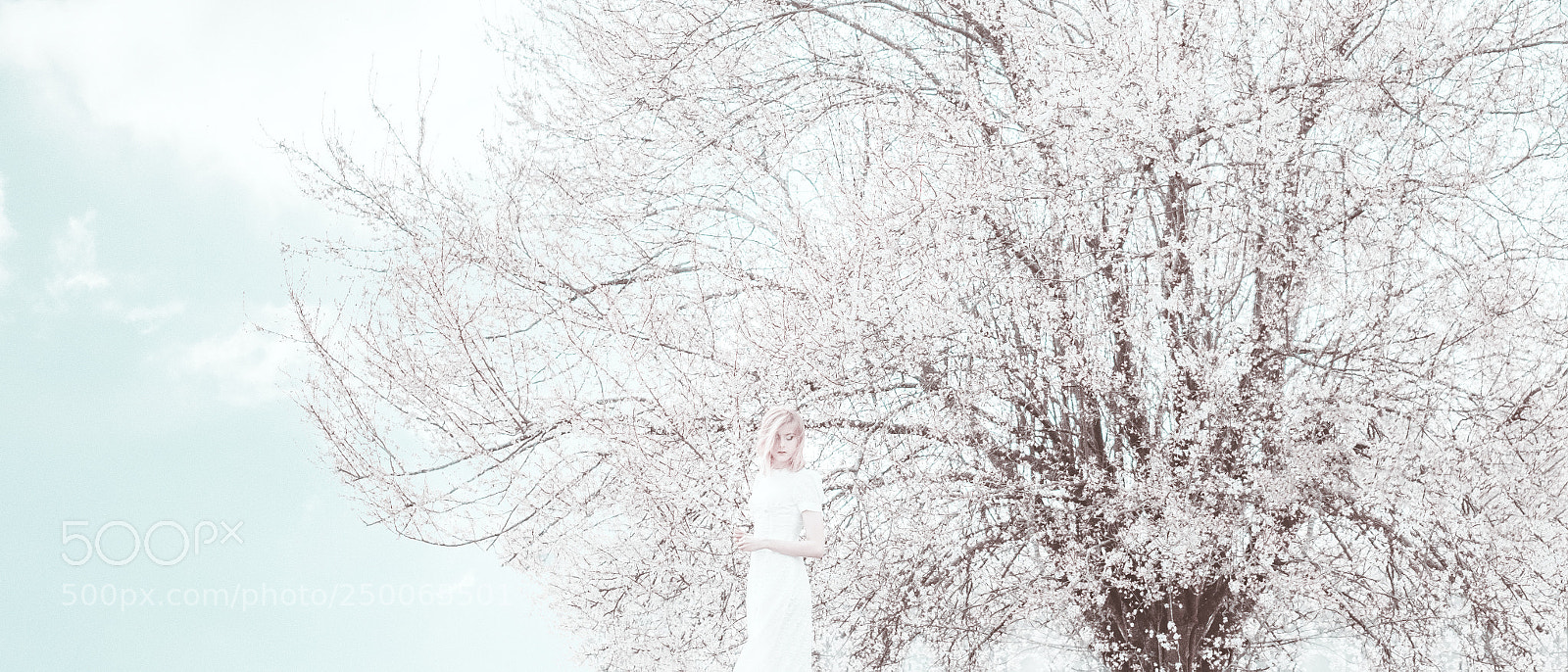 Fujifilm X-Pro2 sample photo. Heaven in her arms photography