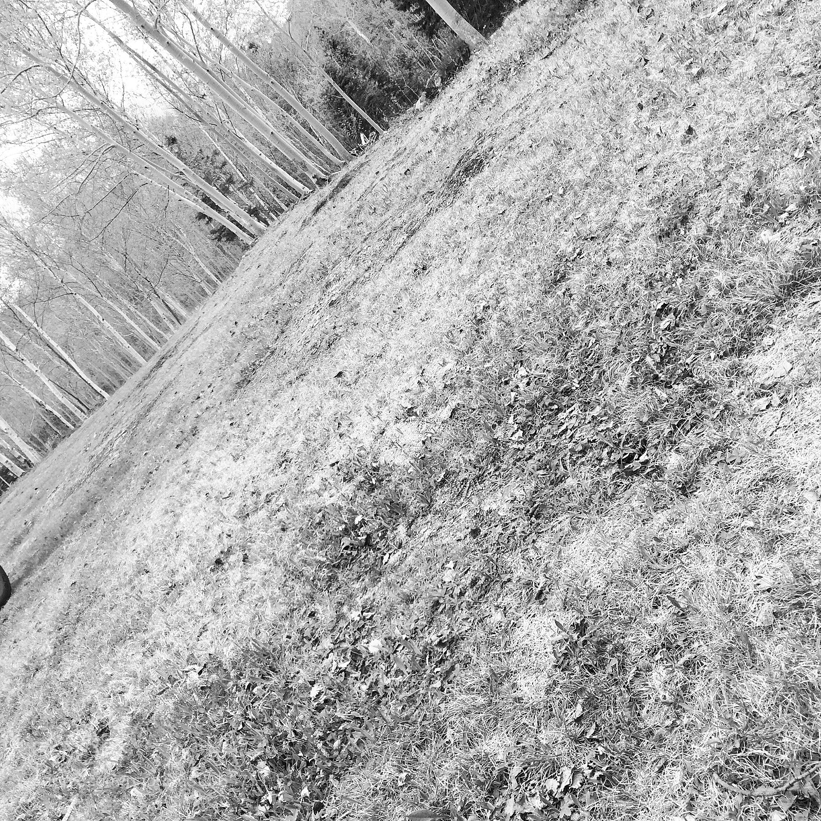 Apple iPhone 5s sample photo. Untitled photography