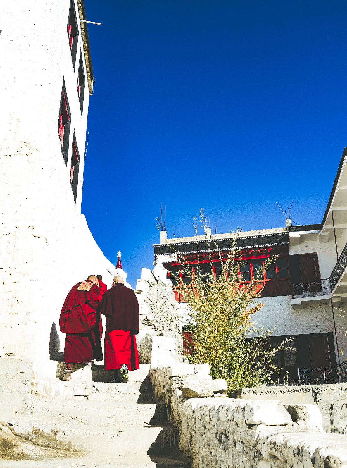 Canon EOS 1100D (EOS Rebel T3 / EOS Kiss X50) sample photo. Monks at thiksey monastery photography