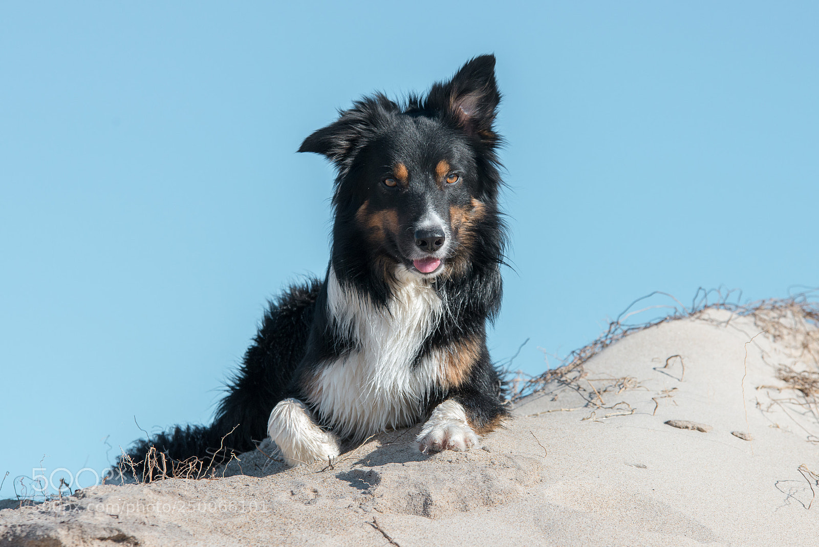 Nikon D800 sample photo. Sand boy photography
