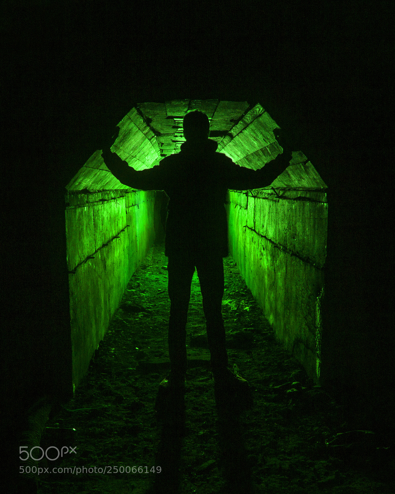 Canon EOS 650D (EOS Rebel T4i / EOS Kiss X6i) sample photo. Green tunnel photography