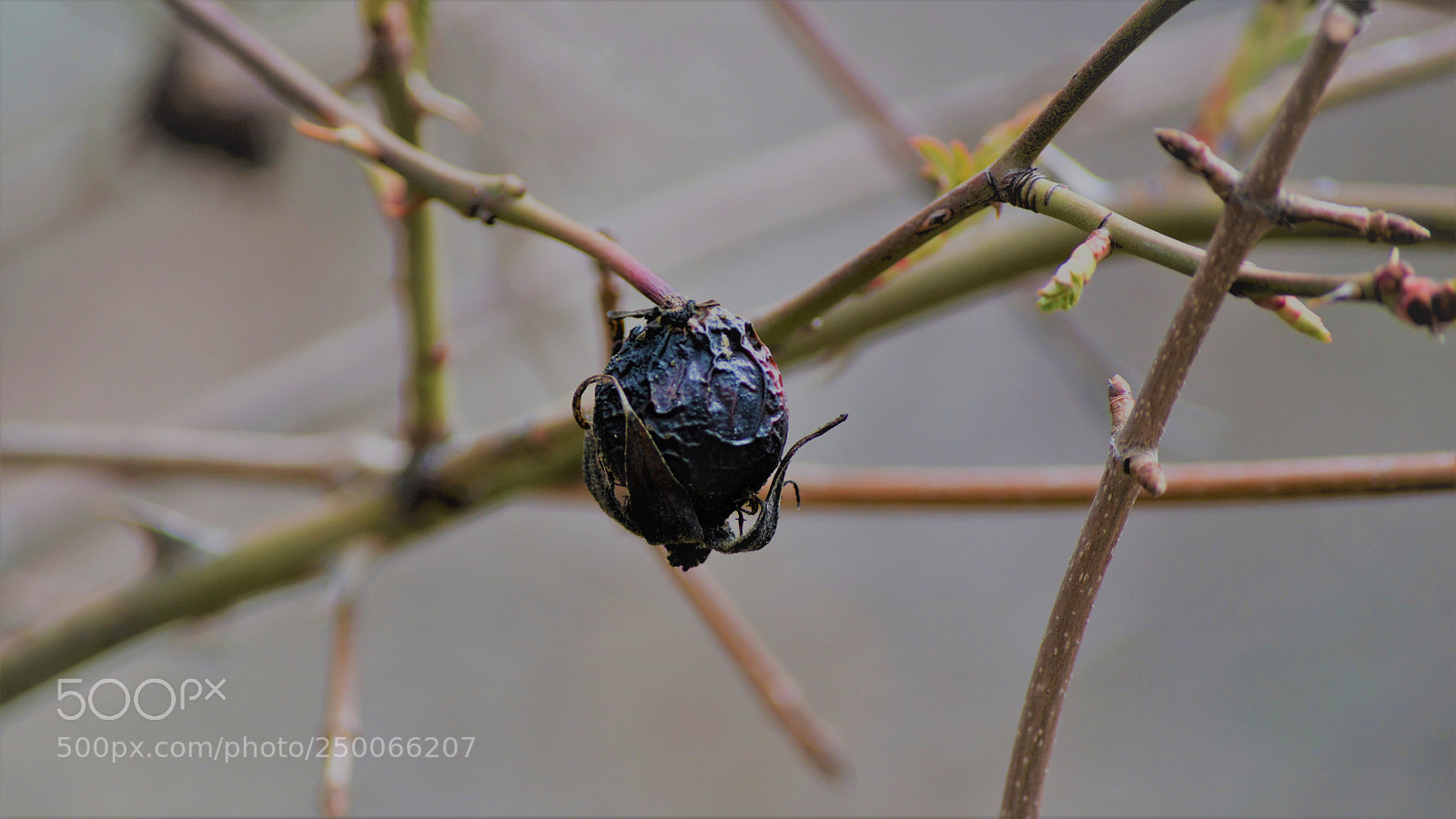 Nikon D3200 sample photo. Untitled photography