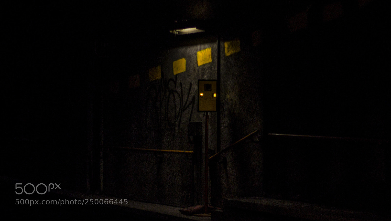 Canon EOS 1200D (EOS Rebel T5 / EOS Kiss X70 / EOS Hi) sample photo. Yellow in the darkness photography