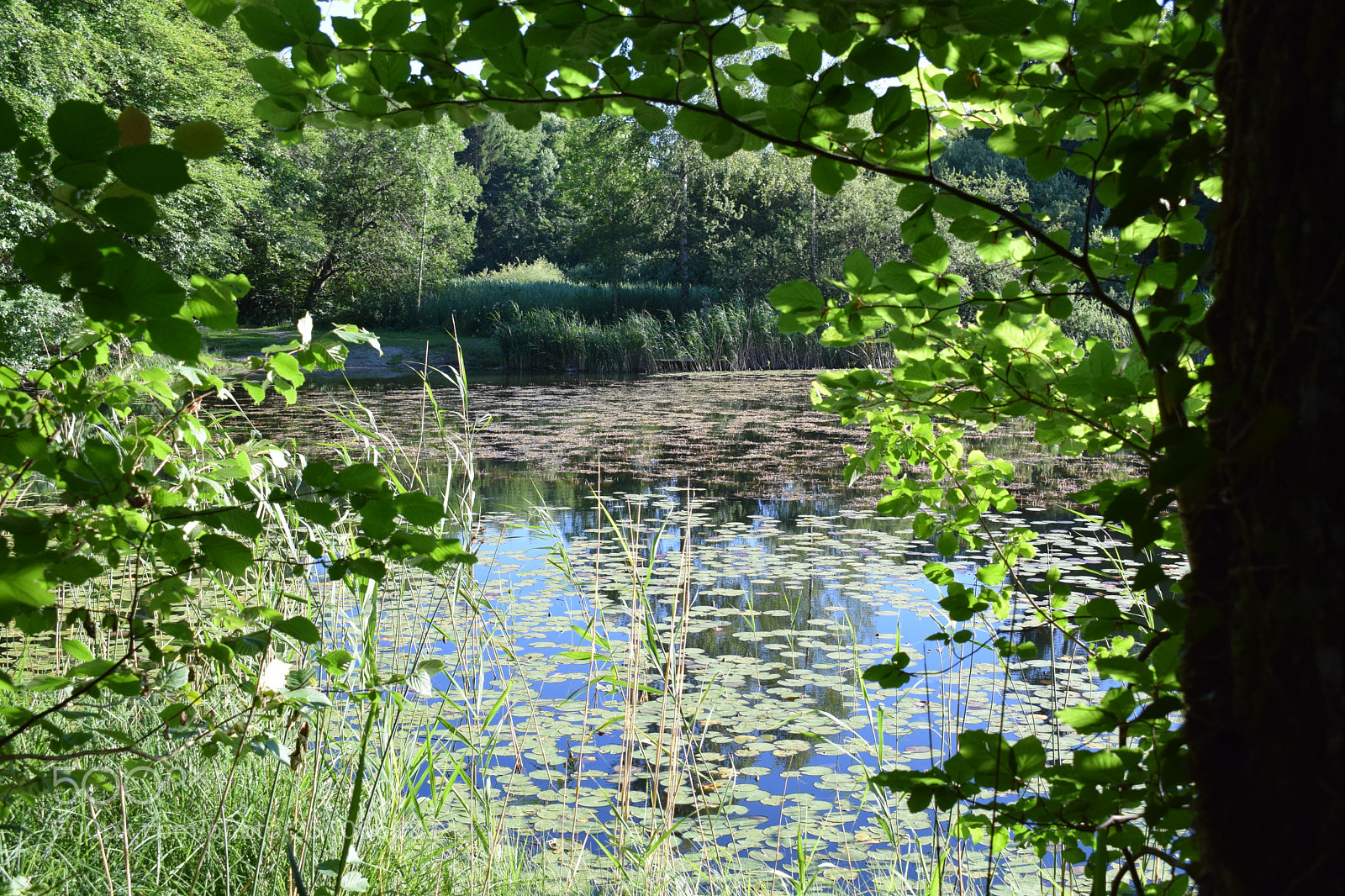 Nikon D3300 sample photo. Plénitude photography