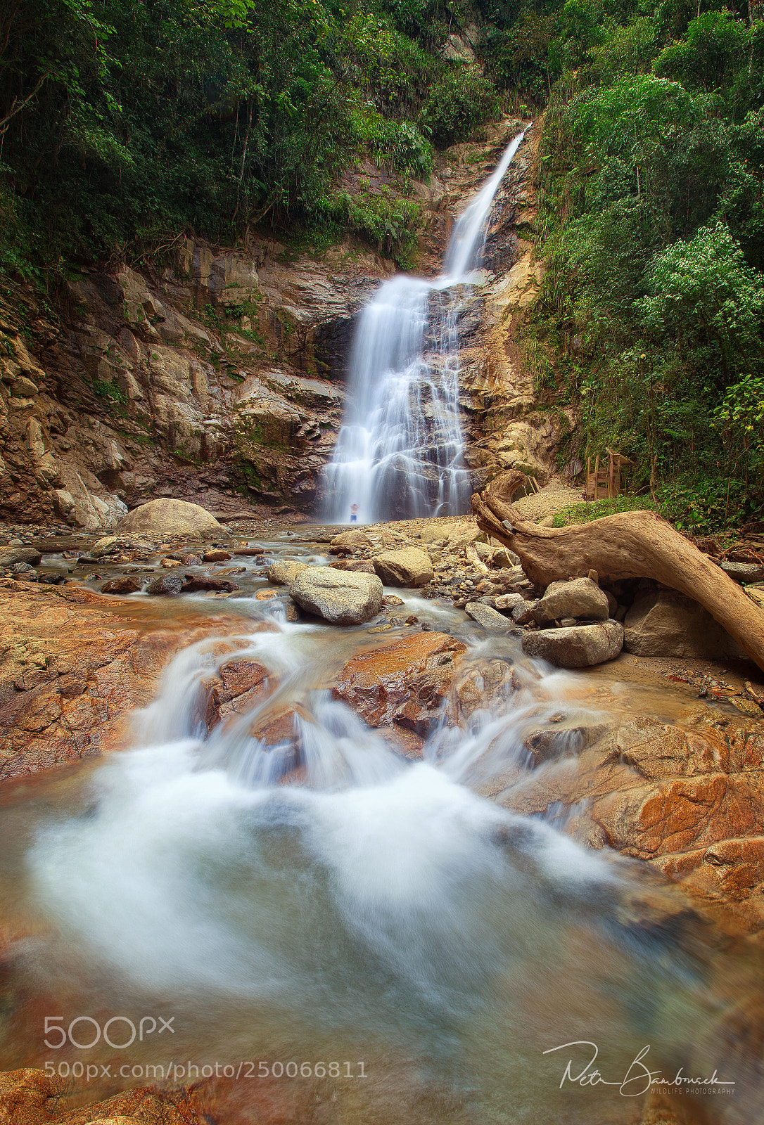 Olympus OM-D E-M1 Mark II sample photo. 50m rainforest waterfall | ecuador photography
