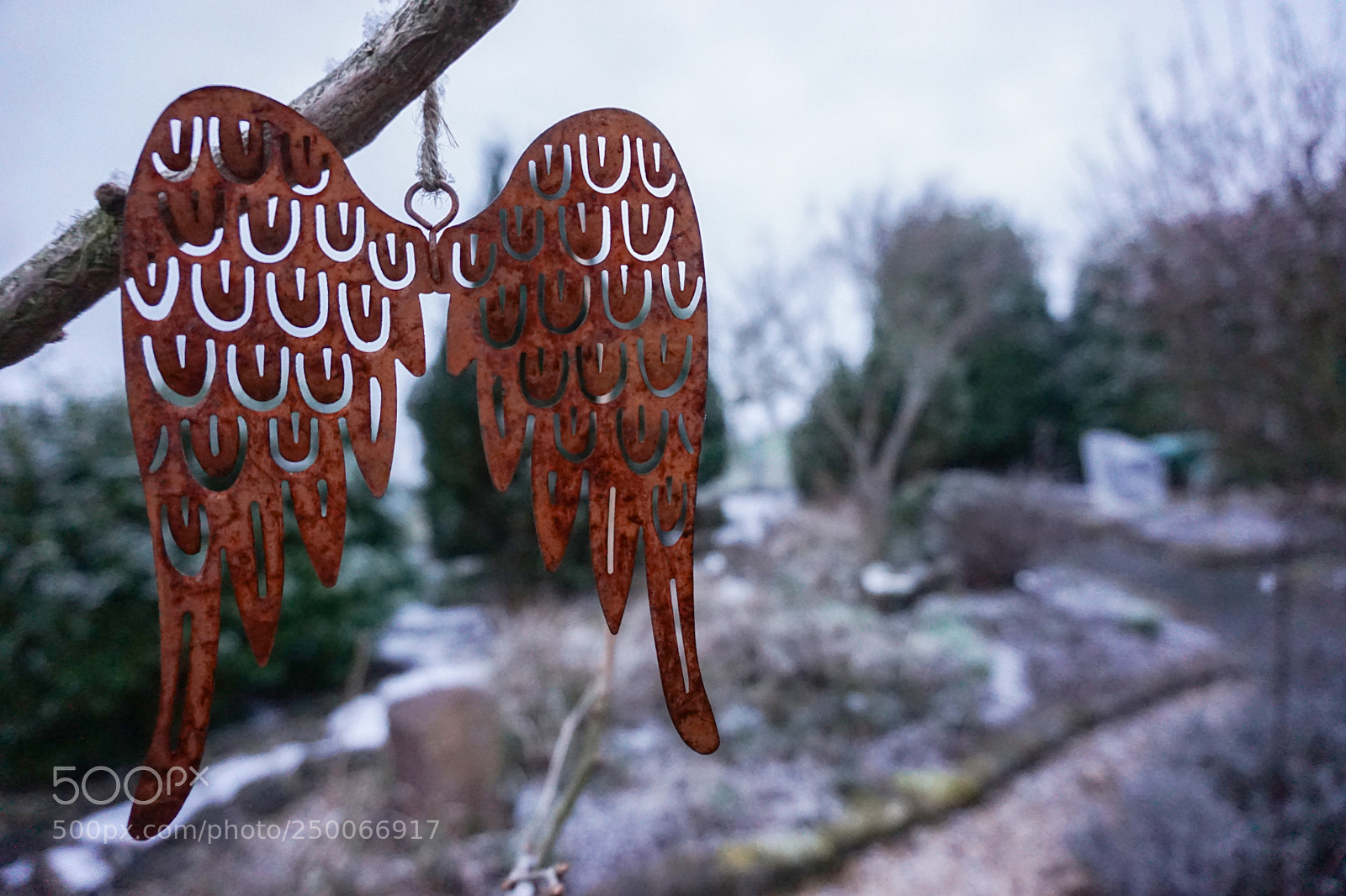 Sony a6000 sample photo. Angel photography