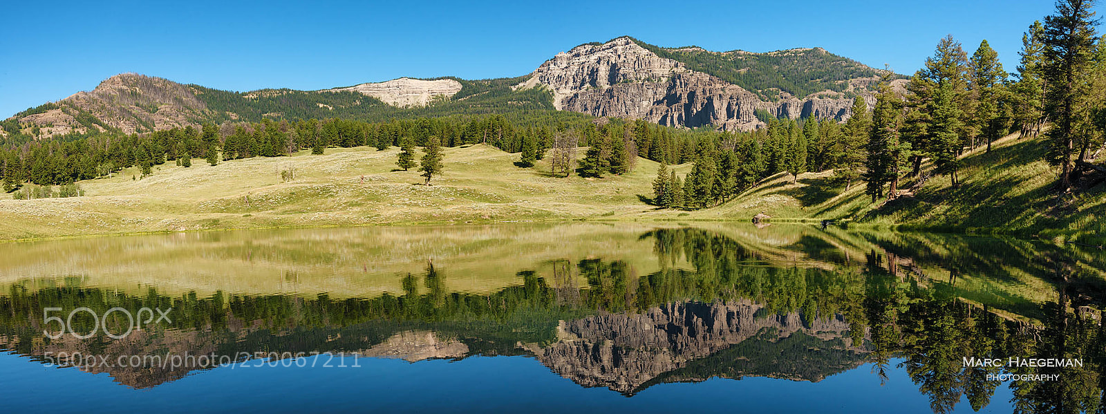 Nikon D800 sample photo. Trout lake photography