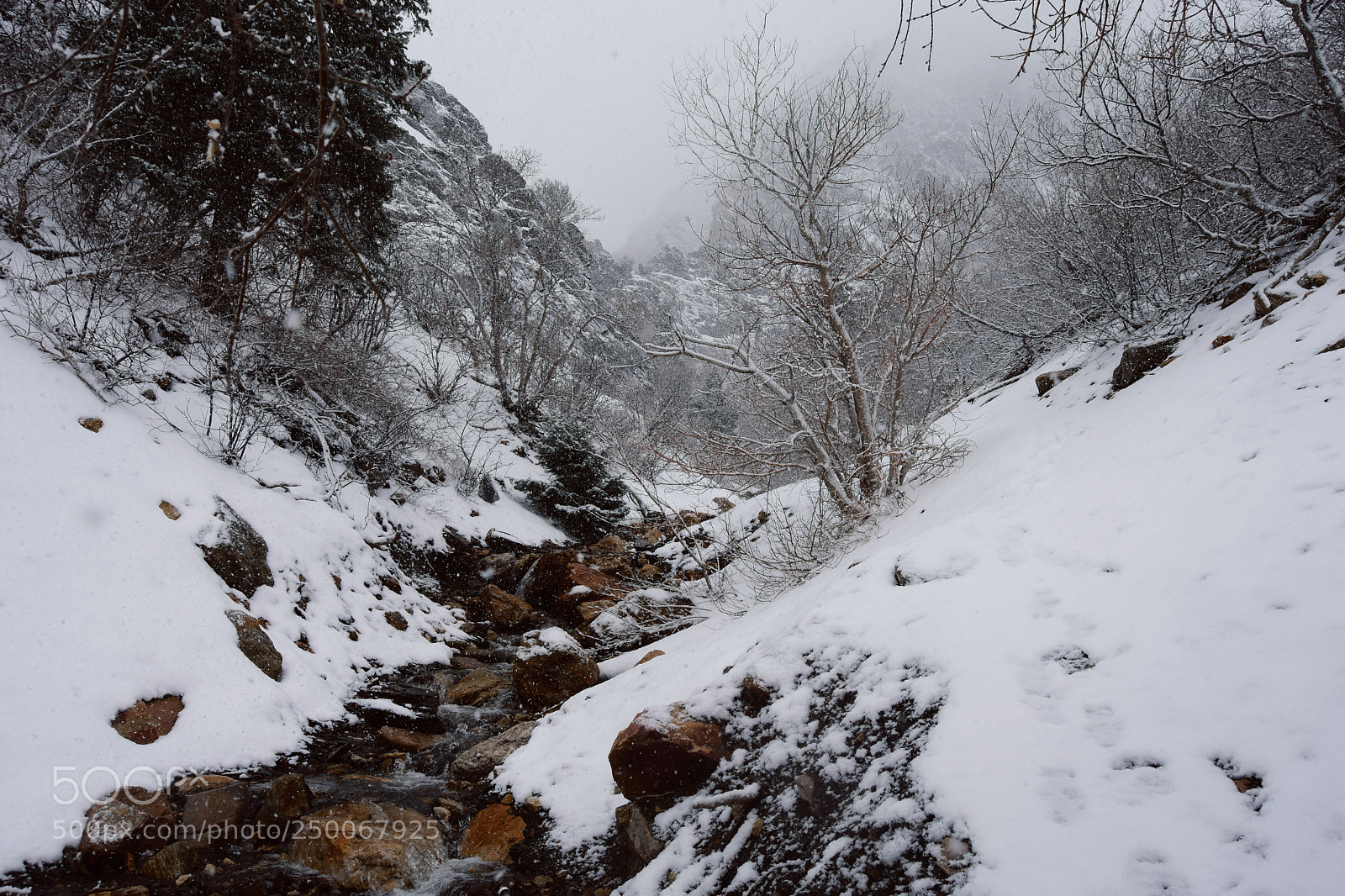 Nikon D7200 sample photo. The final storm photography