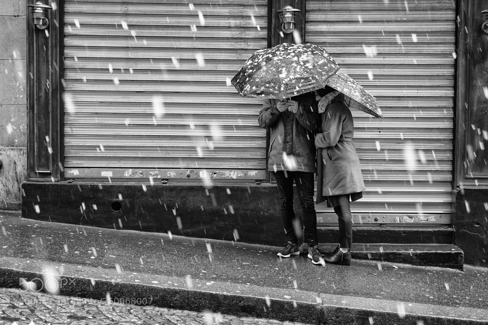 Fujifilm X-Pro1 sample photo. Snow kept on falling photography