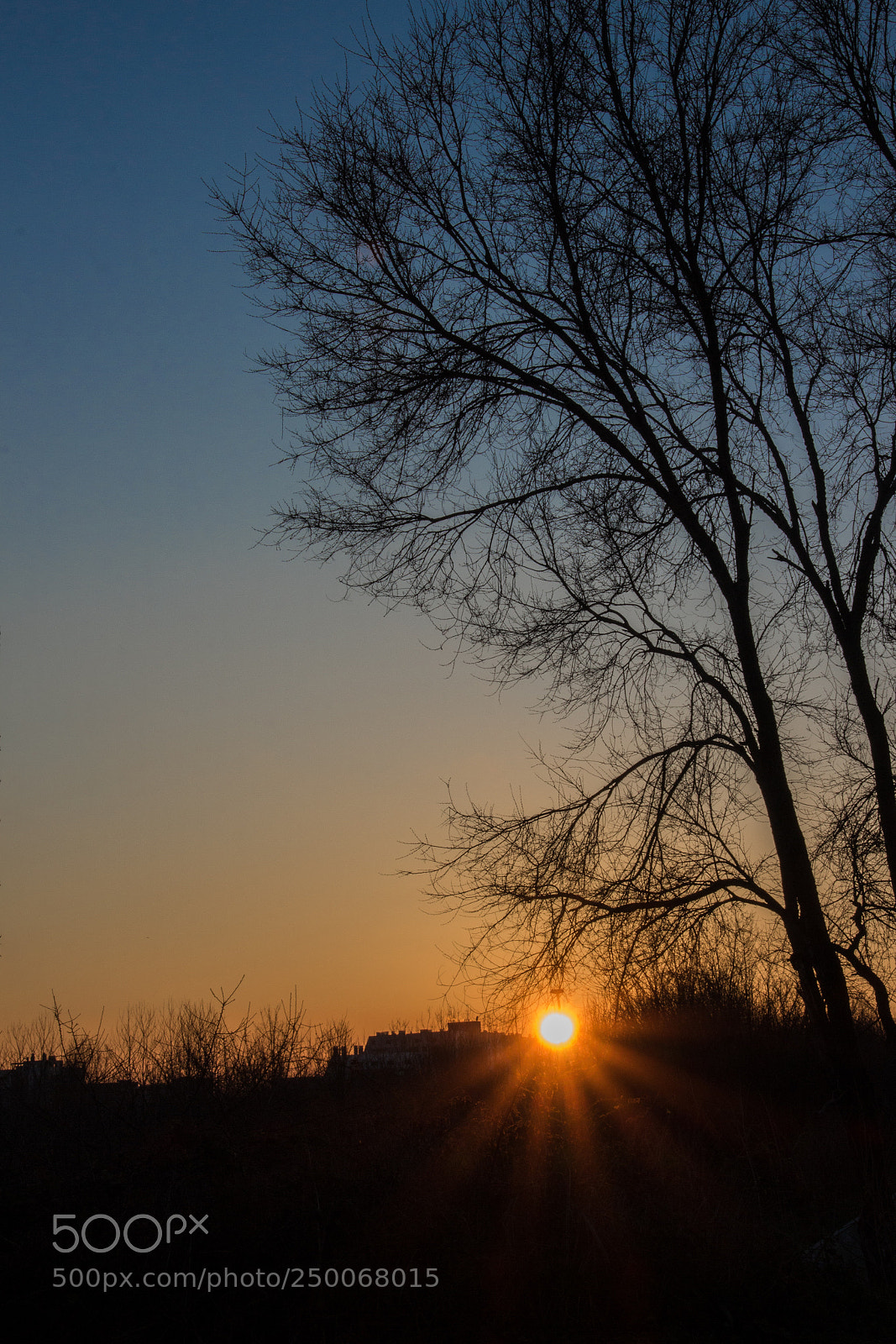 Canon EOS 700D (EOS Rebel T5i / EOS Kiss X7i) sample photo. Sunset in milano photography