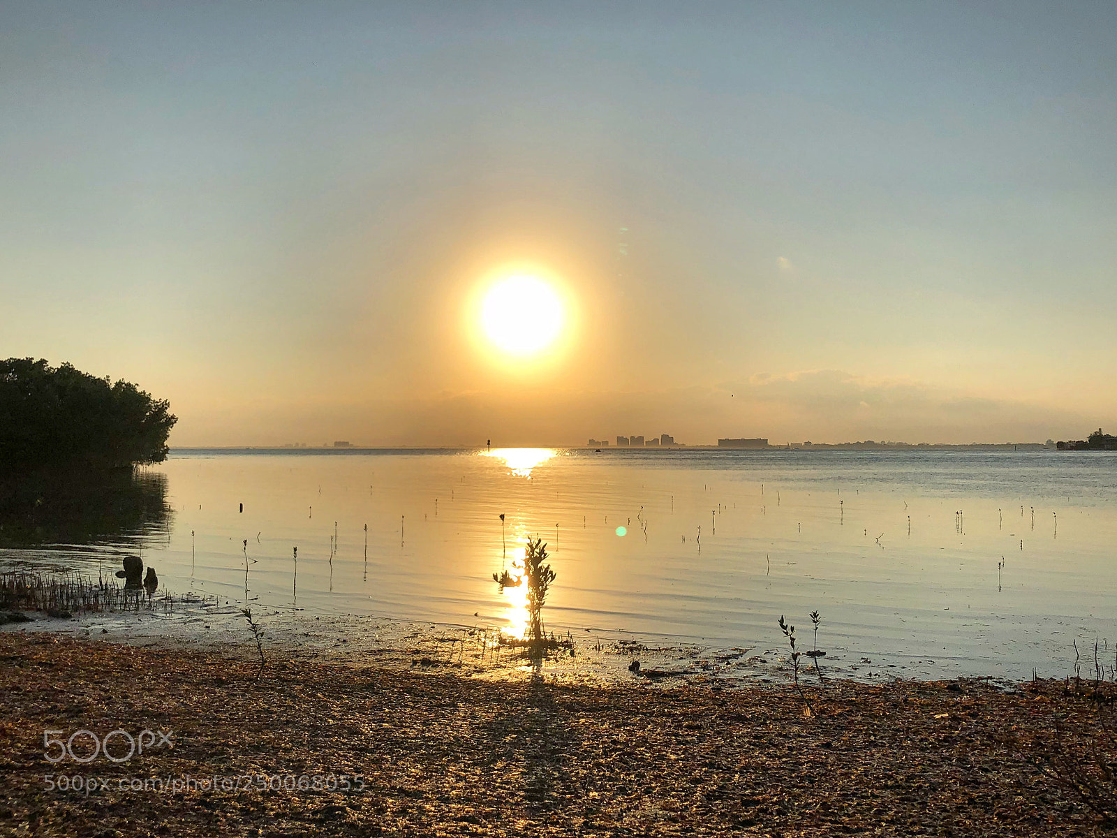 Apple iPhone 8 Plus sample photo. Sundown  photography