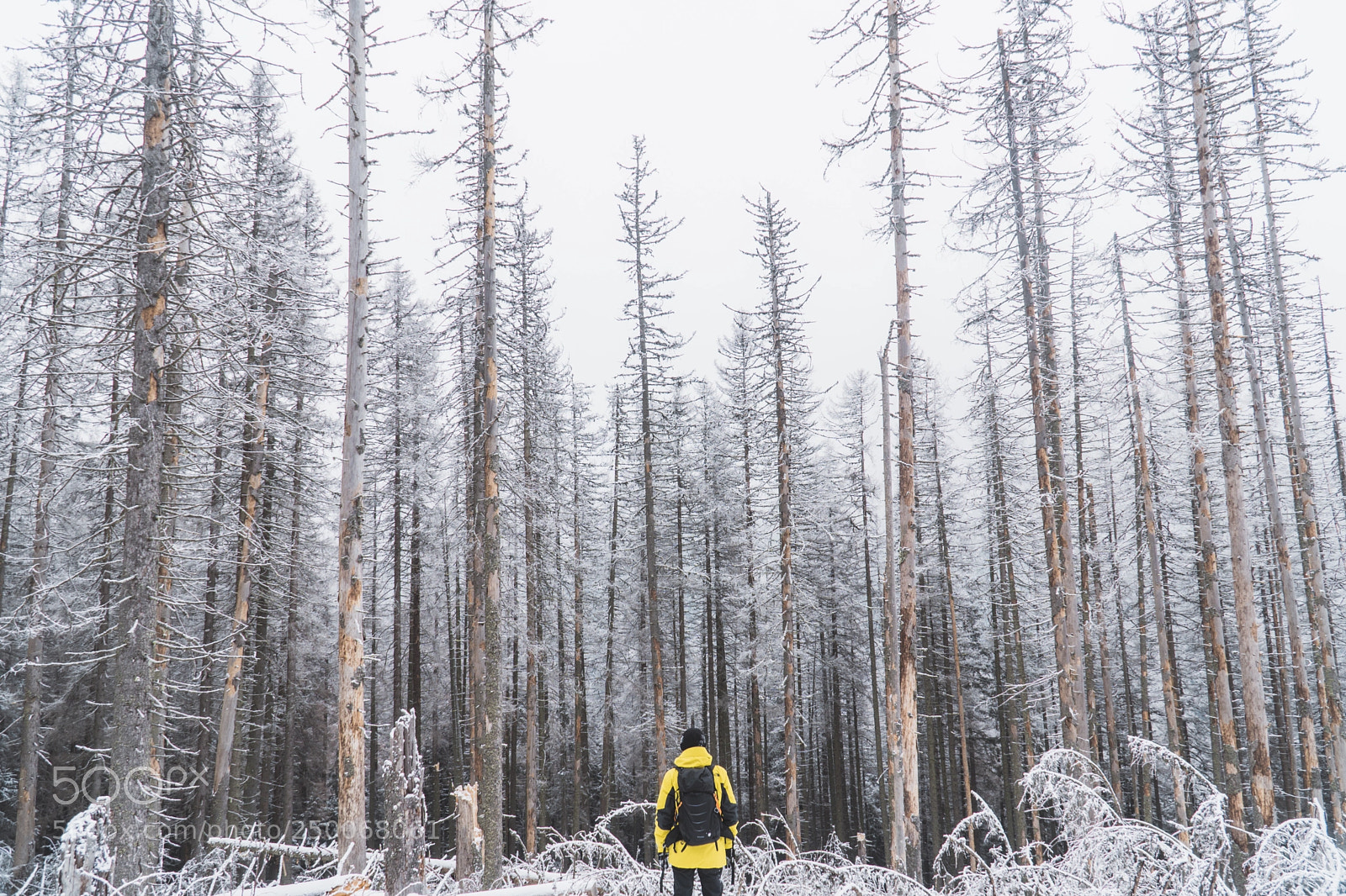 Sony a6500 sample photo. Weekend trip to poland photography