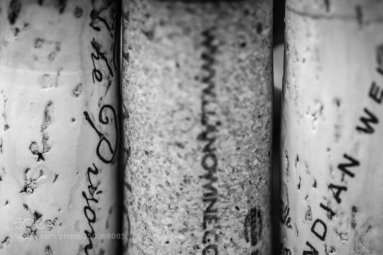 Nikon D5300 sample photo. Uncorked photography