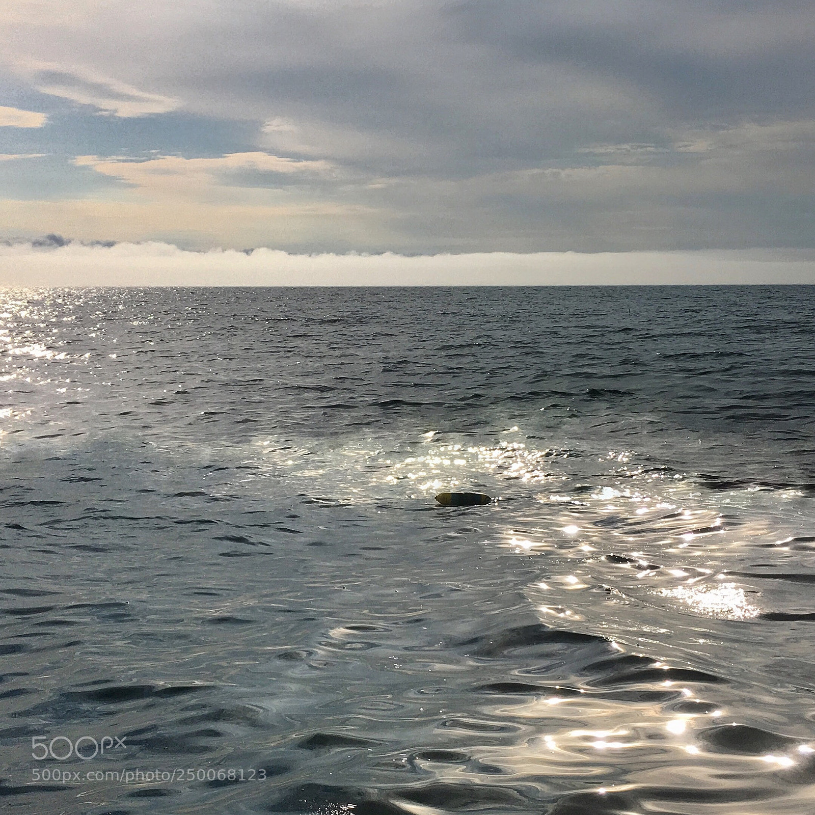 Apple iPhone SE sample photo. Fog bank photography