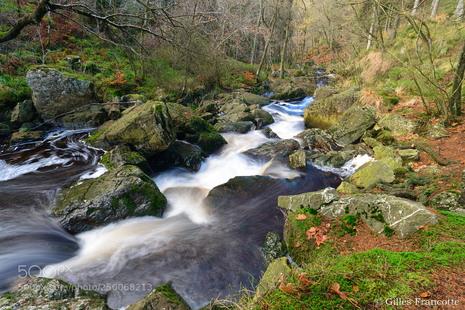 Nikon D800 sample photo. Autumn river. photography