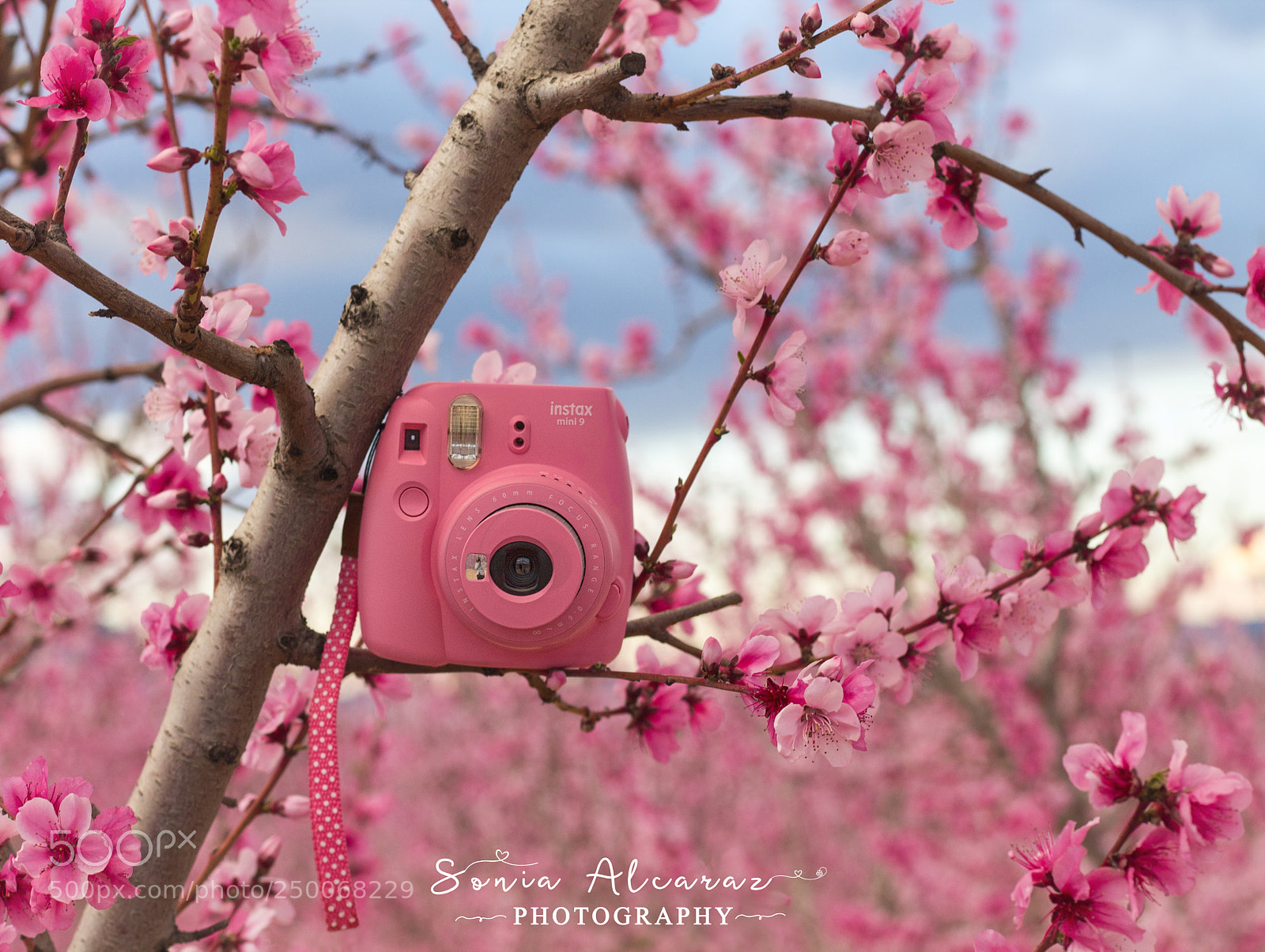 Canon EOS 1100D (EOS Rebel T3 / EOS Kiss X50) sample photo. !bienvenida primavera! photography