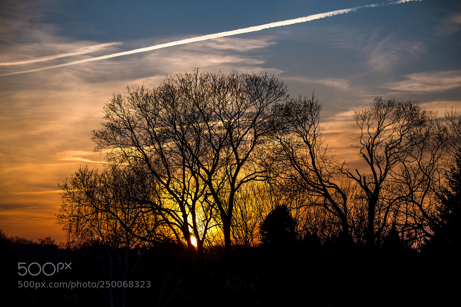 Nikon D4 sample photo. Local sunset photography