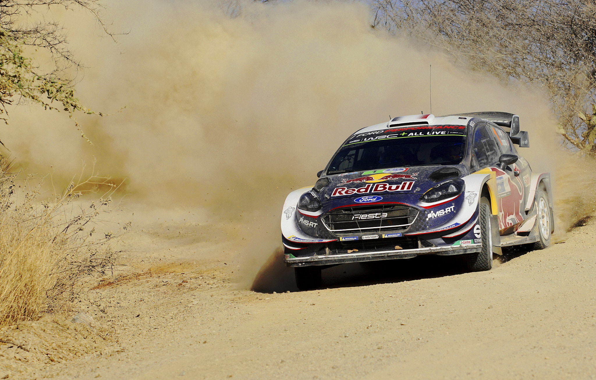 Minolta/Sony AF 70-200mm F2.8 G sample photo. Sébastien  ogier photography