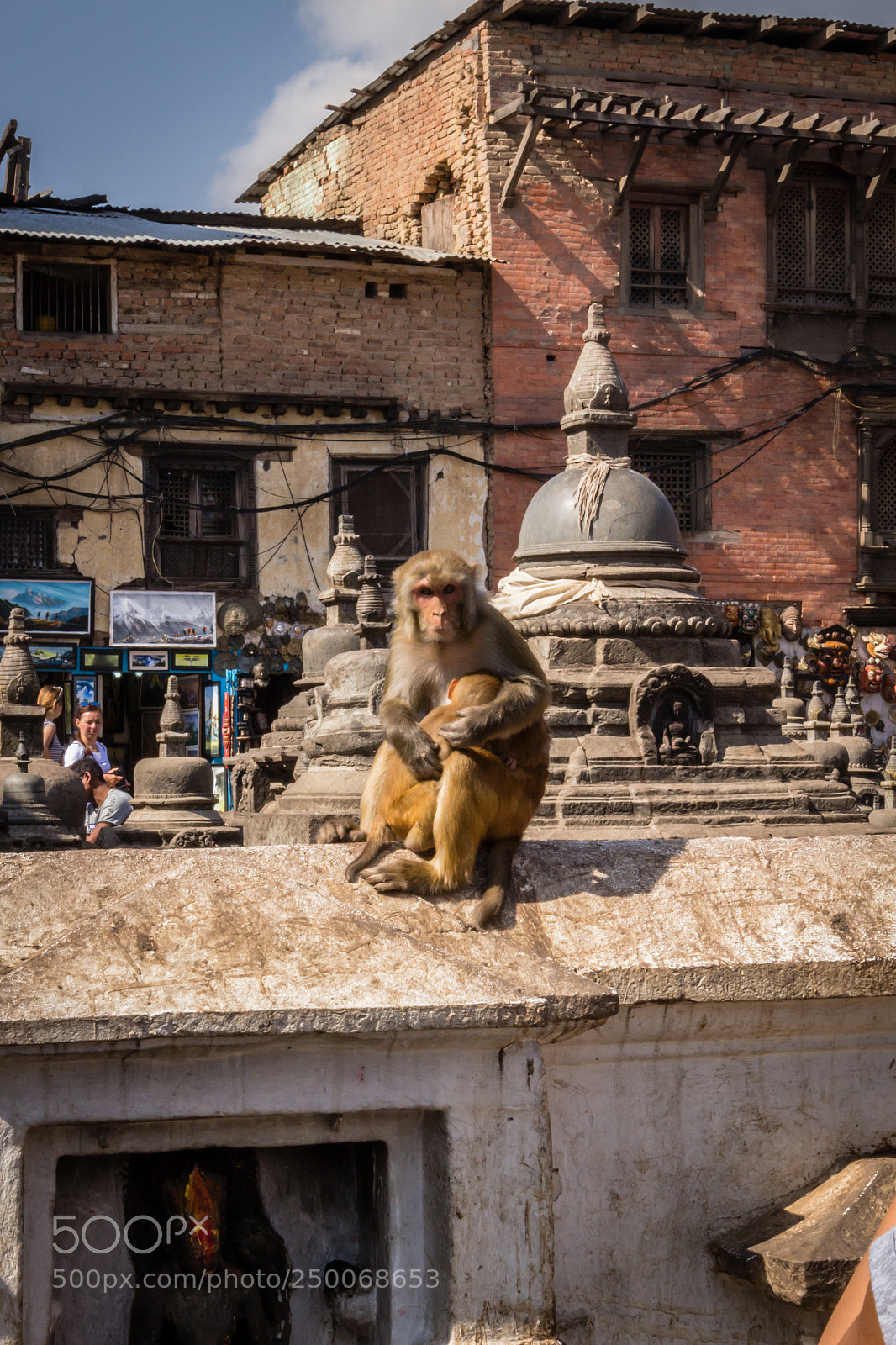 Canon EOS 100D (EOS Rebel SL1 / EOS Kiss X7) sample photo. Monkey at swayambhunath stupa photography