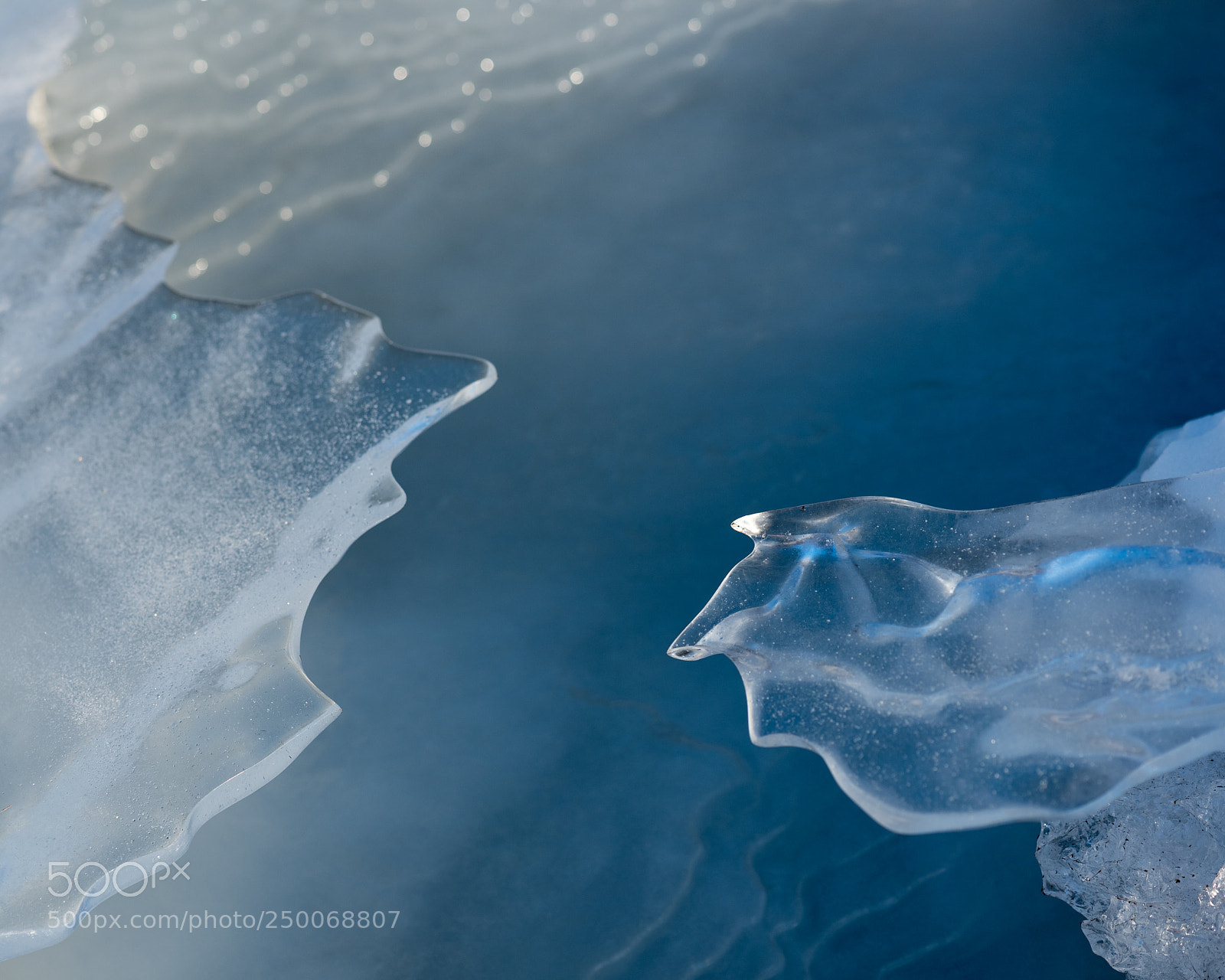 Nikon D810 sample photo. Nordic blues 6 photography