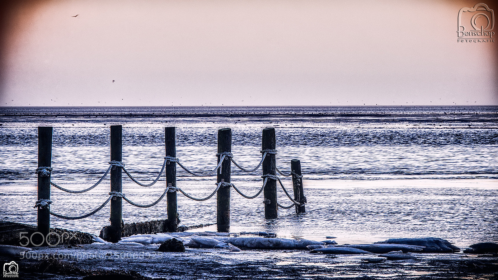 Nikon D800 sample photo. At the crack of photography