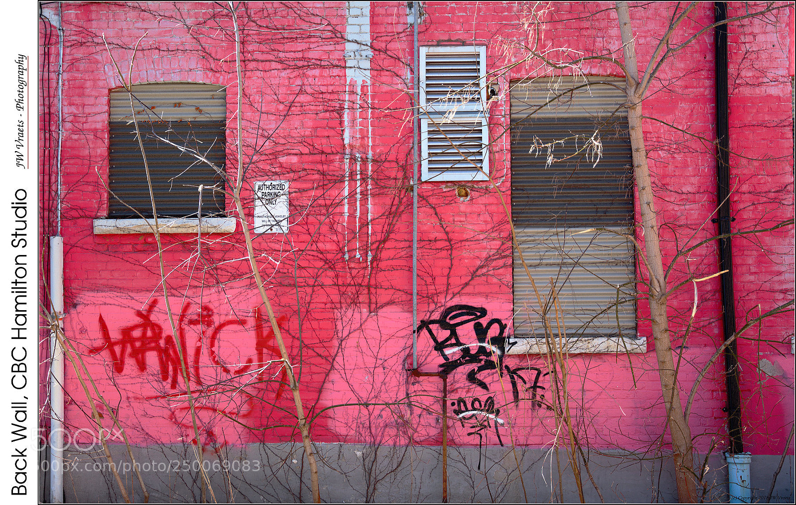 Nikon D7100 sample photo. Back wall, cbc hamilton photography