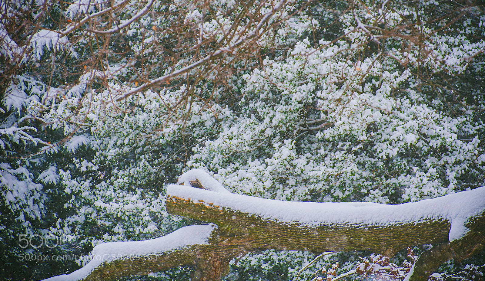 Nikon D7000 sample photo. Nature's serenity photography