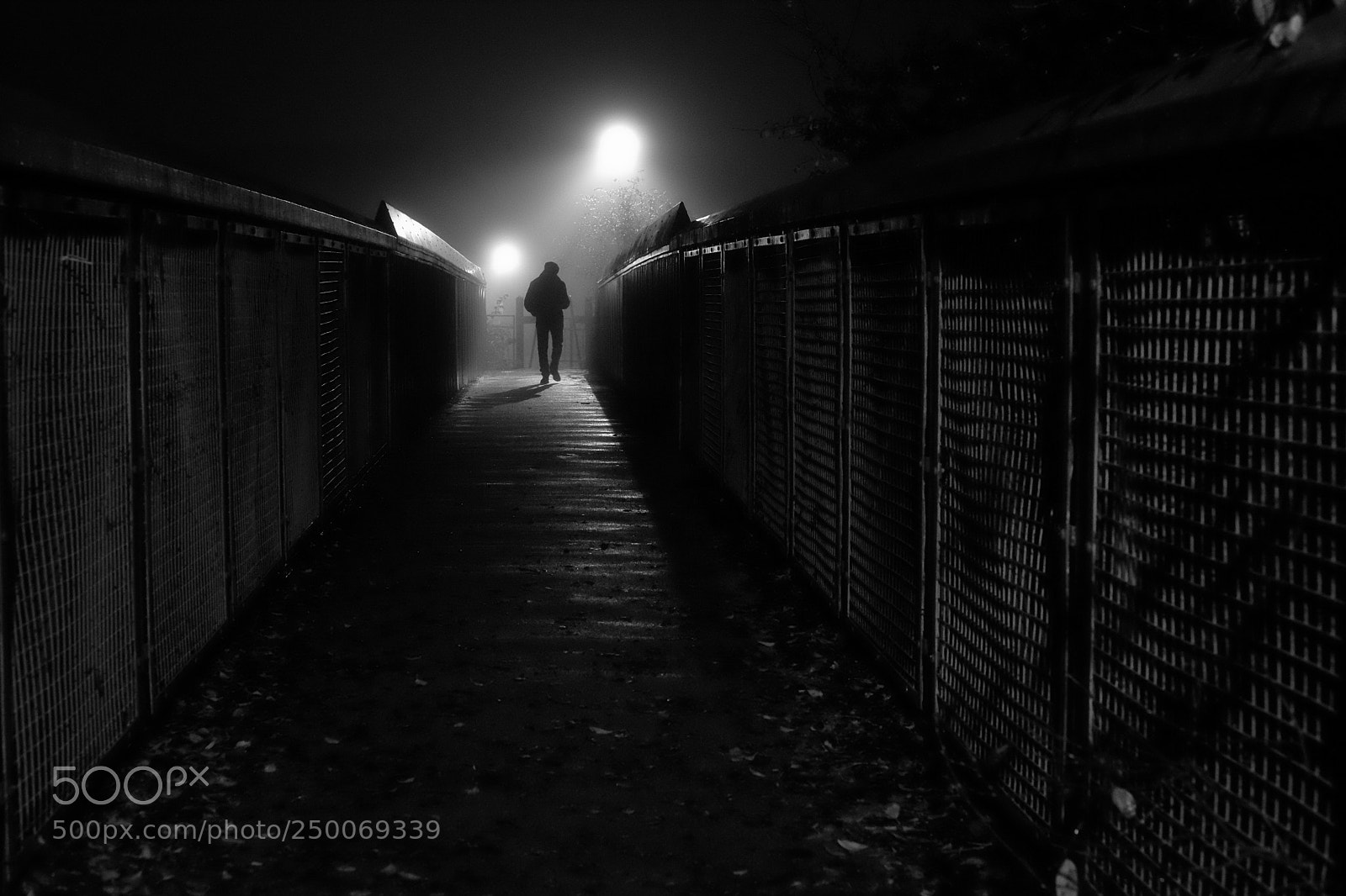Fujifilm X-T10 sample photo. Foggy night photography