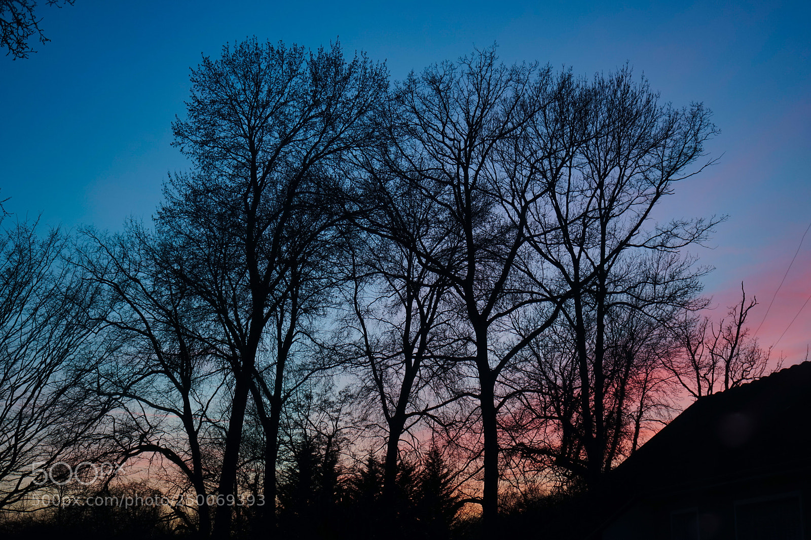 Sony a7 sample photo. Untitled photography
