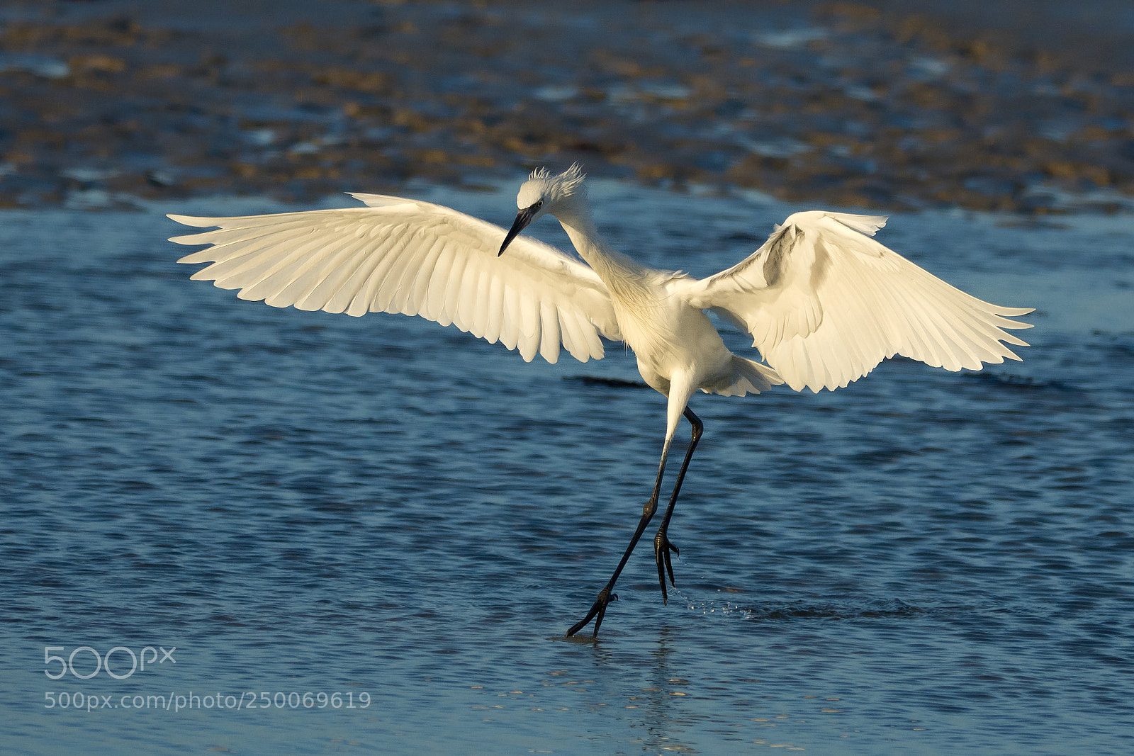 Nikon D7200 sample photo. Tidal tap dance photography
