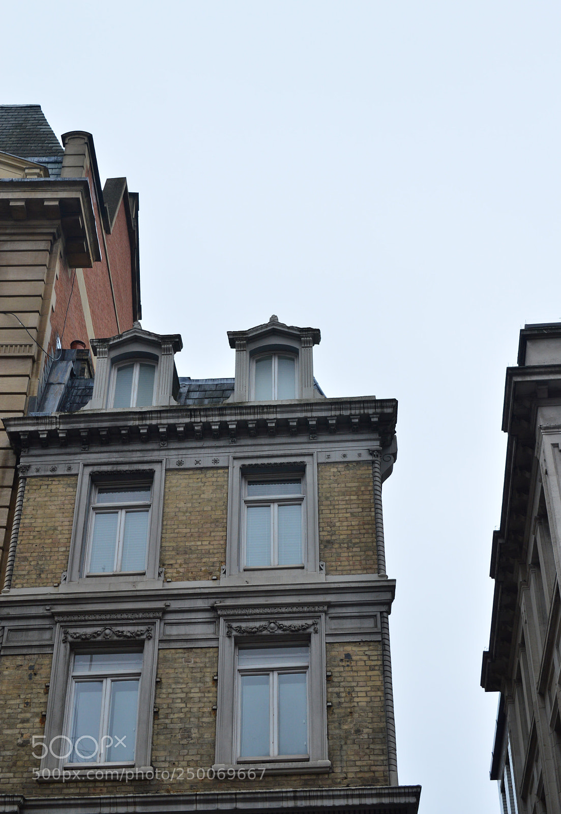 Nikon D3200 sample photo. Untitled photography