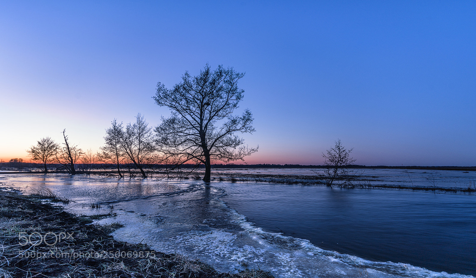 Sony a7R II sample photo. Blue hour in the photography